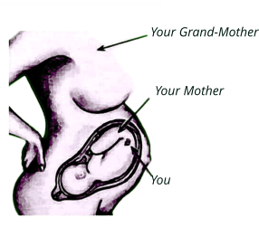 Your Grand-Mother Your Mother You