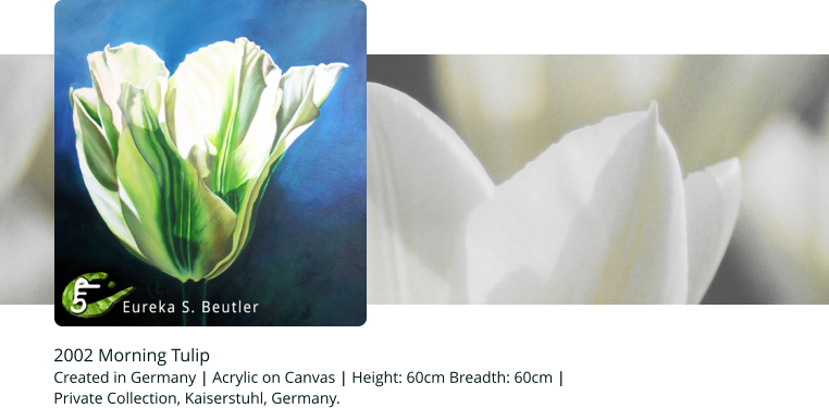 2002 Morning Tulip Created in Germany | Acrylic on Canvas | Height: 60cm Breadth: 60cm |   Private Collection, Kaiserstuhl, Germany.
